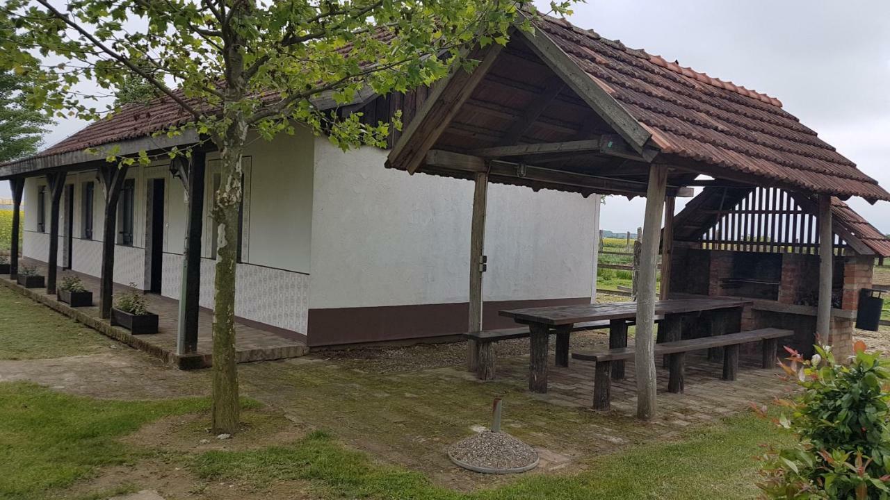 Acin salas Tordinci Luaran gambar